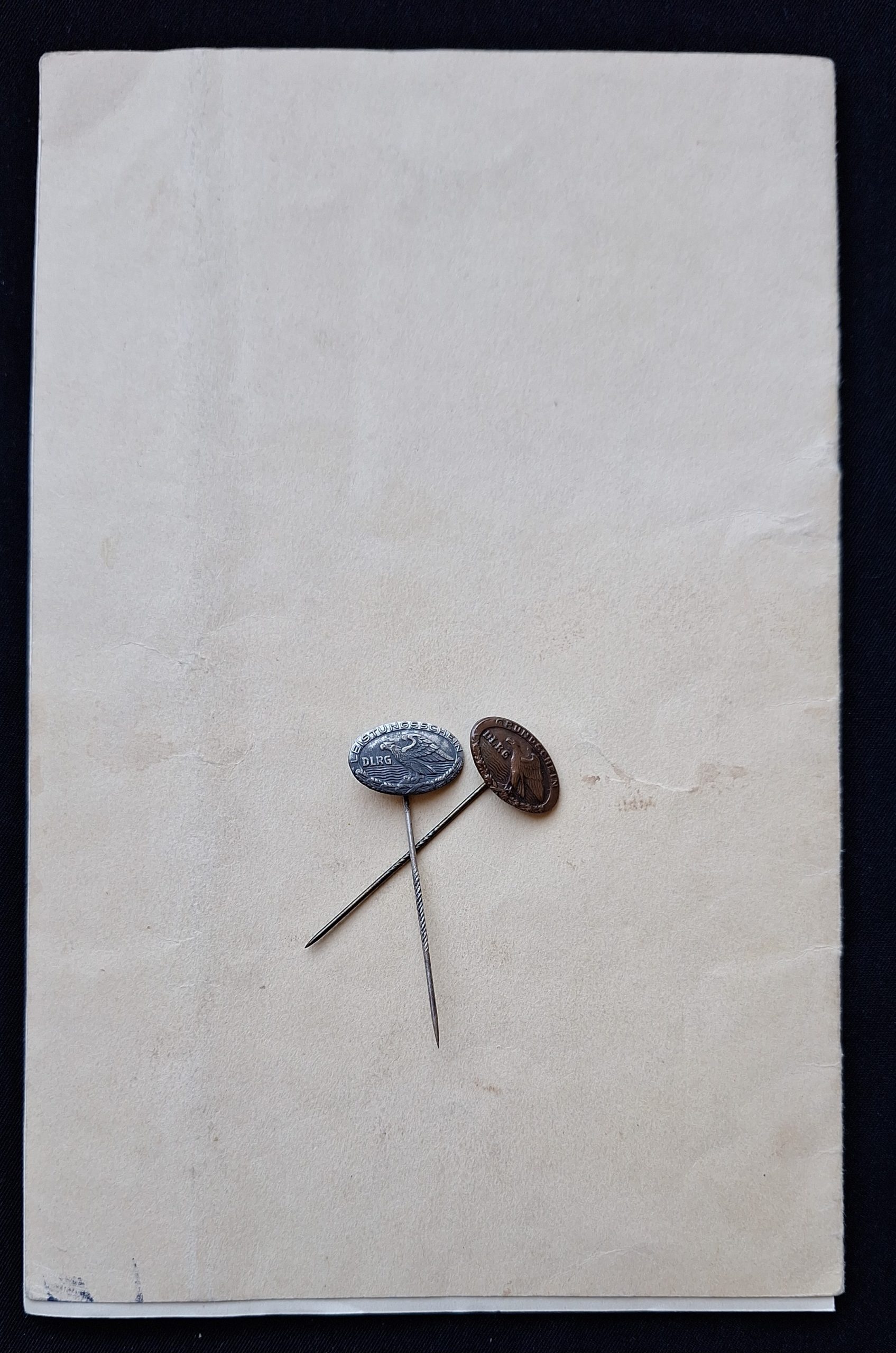 DRL Leistungsbuch with Two Pins - Image 9