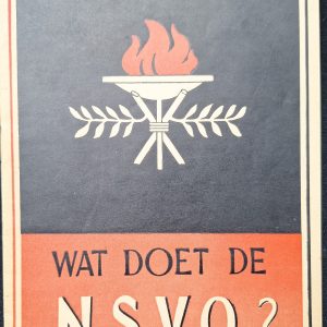 NSB Brochure What does the NSVO
