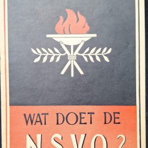 NSB Brochure What does the NSVO