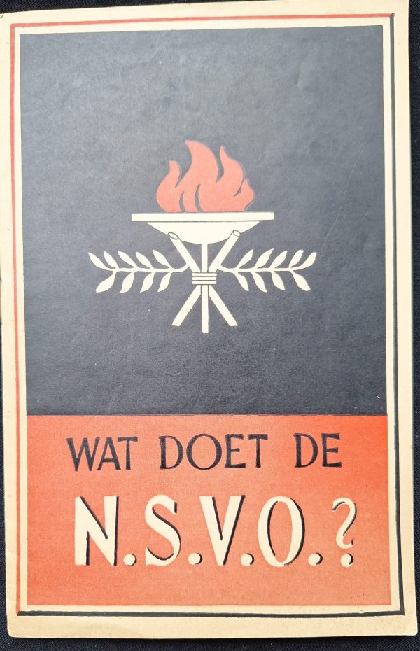 NSB Brochure What does the NSVO - Image 1
