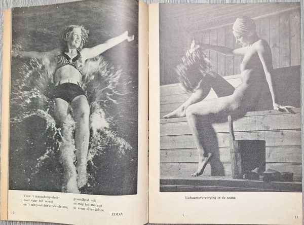 Germanische Leithefte 1942 7/11 Dutch SS - Image 3