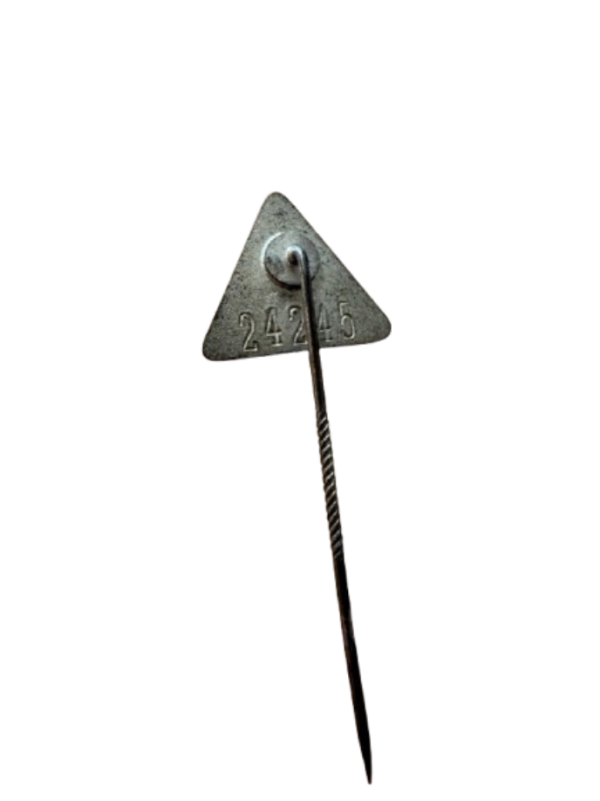 NSB 5 Year Membership pin - Image 2