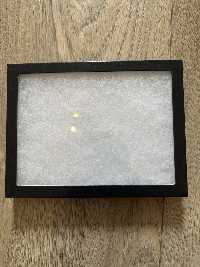 Riker case 20.3 cm x 15.2