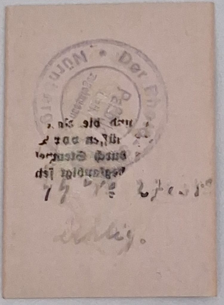 WW2 RARE Pass Photo Algemeine SS Unterscharführer Standarte M12