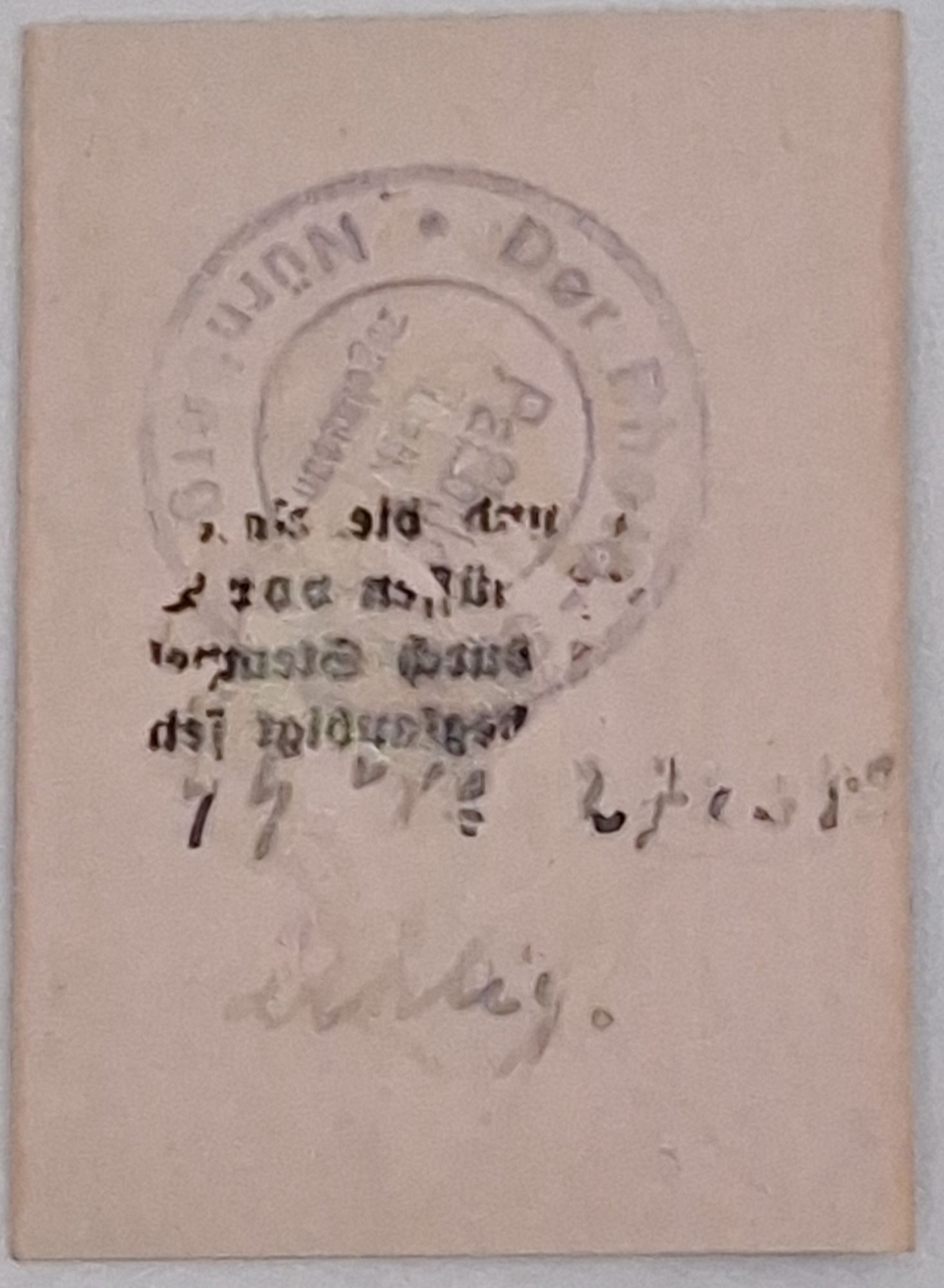 WW2 RARE Pass Photo Algemeine SS Unterscharführer Standarte M12 - Image 6
