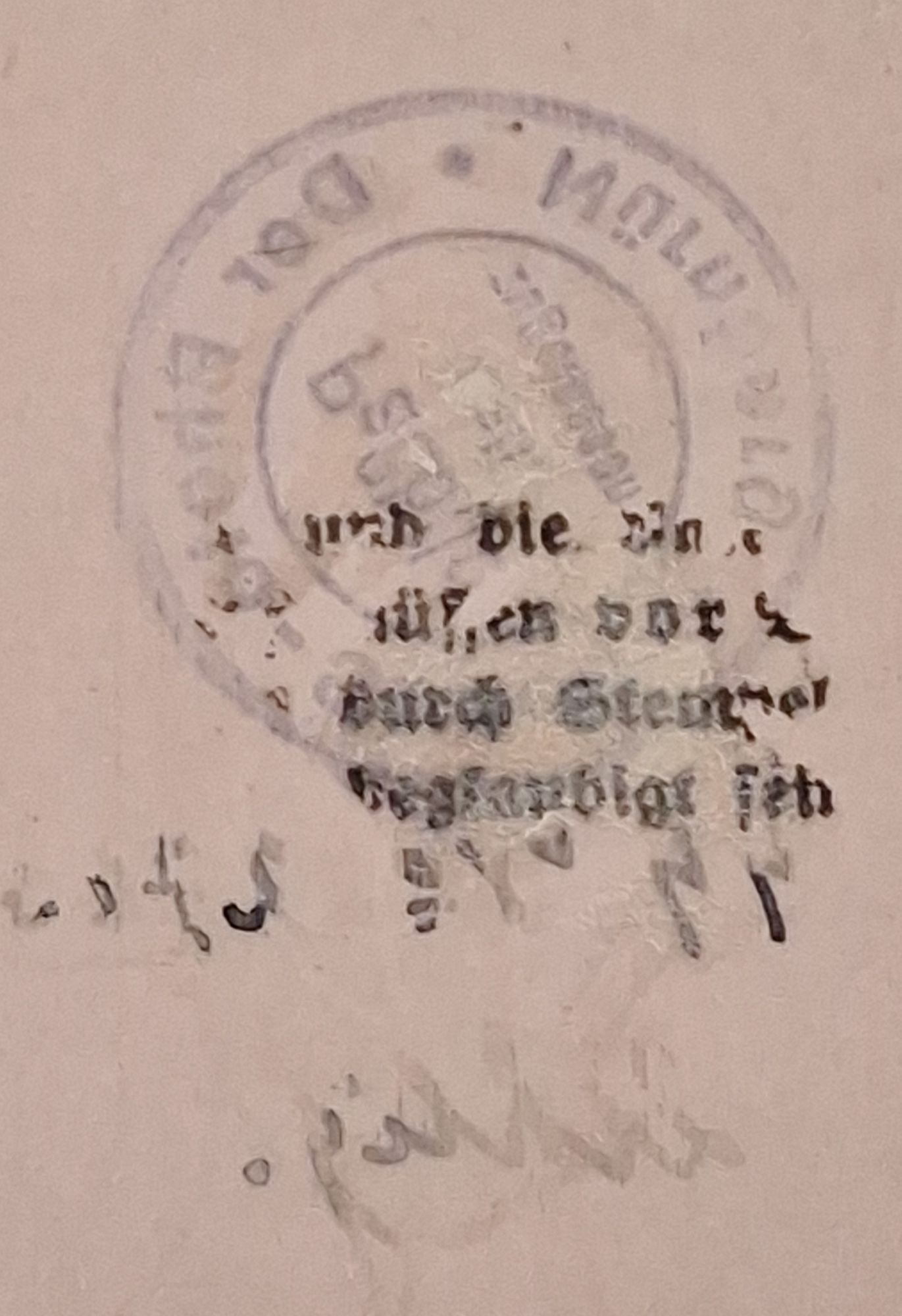 WW2 RARE Pass Photo Algemeine SS Unterscharführer Standarte M12 - Image 5