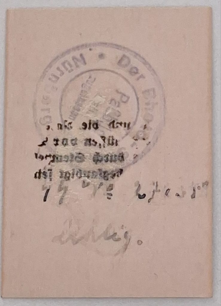 WW2 RARE Pass Photo Algemeine SS Unterscharführer Standarte M12