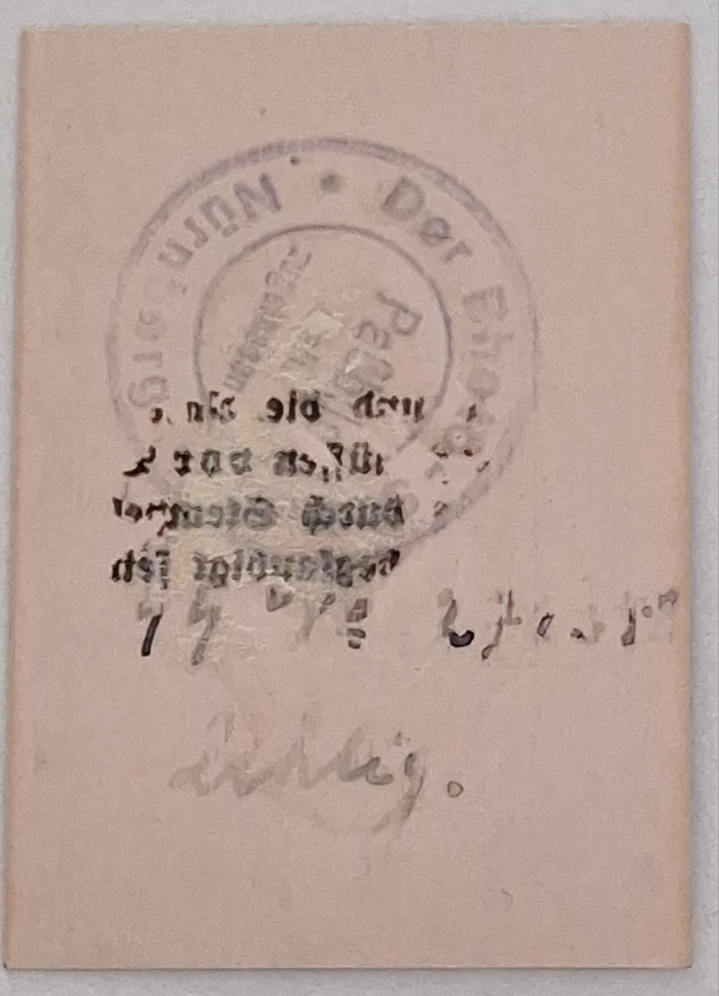 WW2 RARE Pass Photo Algemeine SS Unterscharführer Standarte M12 - Image 4