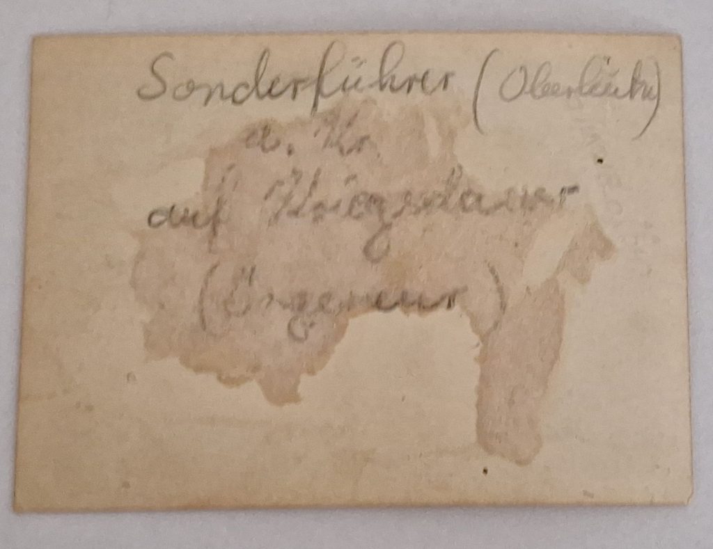 WW2 German Luftwaffe Pass Photo Sonderführer