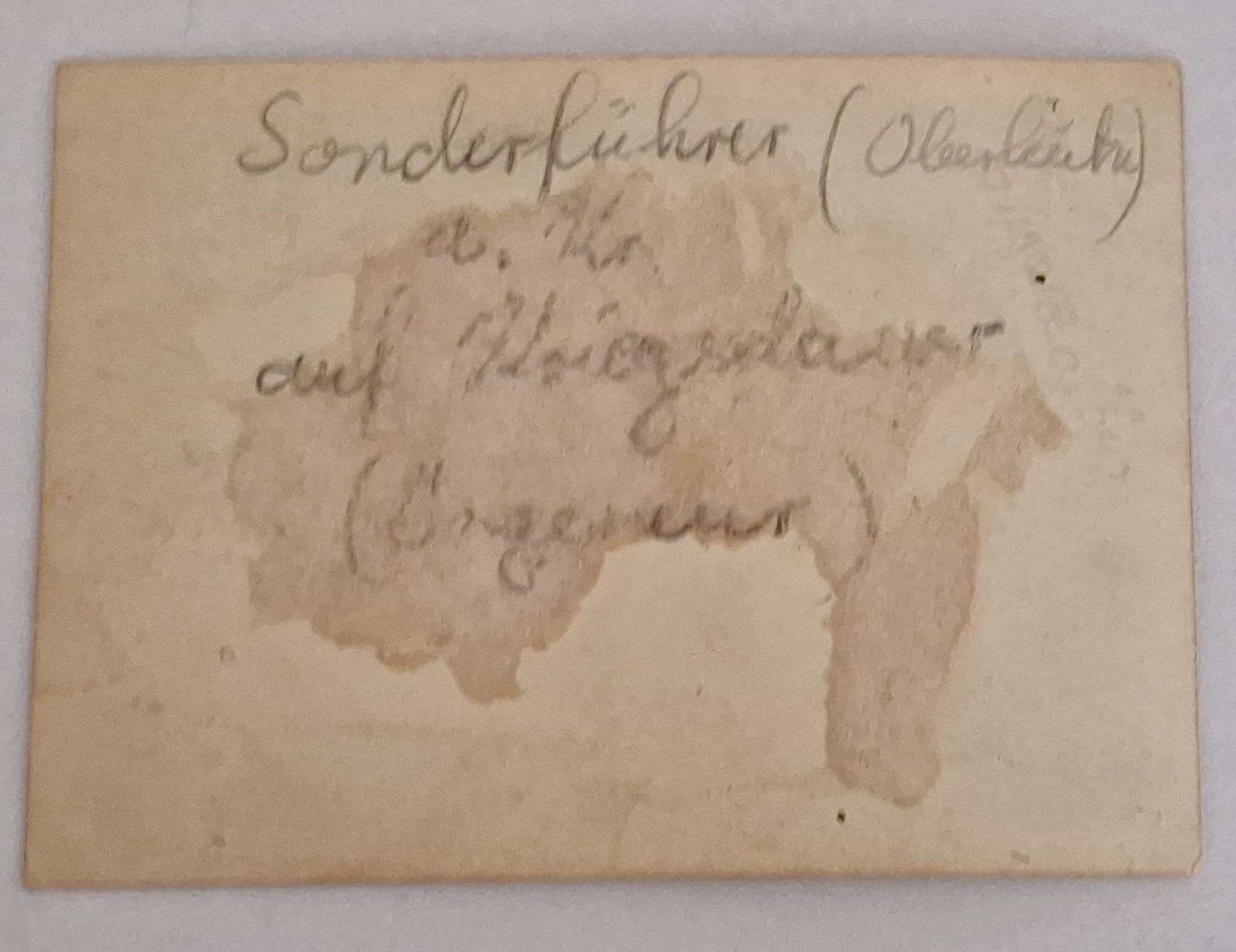 WW2 German Luftwaffe Pass Photo Sonderführer - Image 3