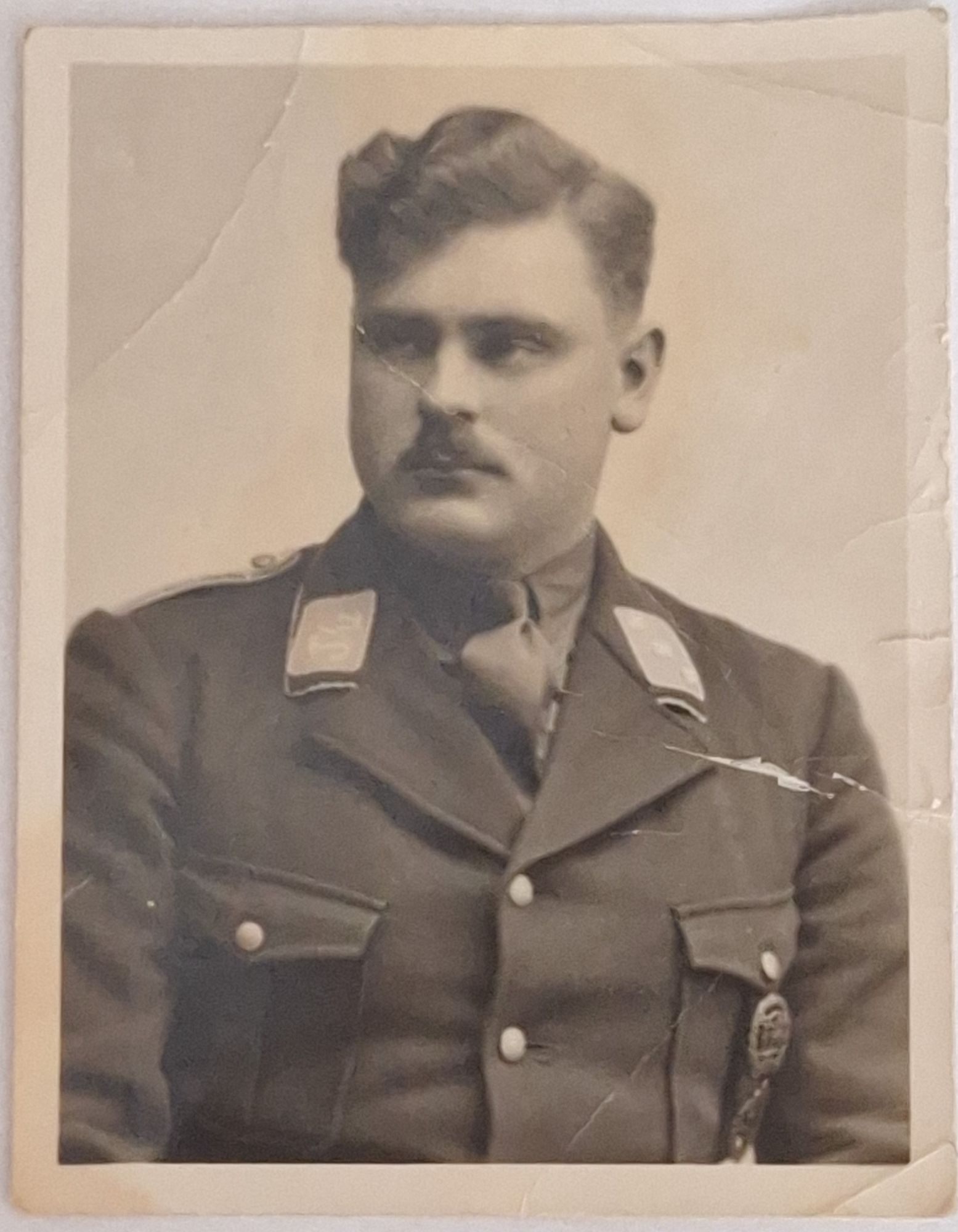 WW2 German Pass Photo of SA Man - Image 1