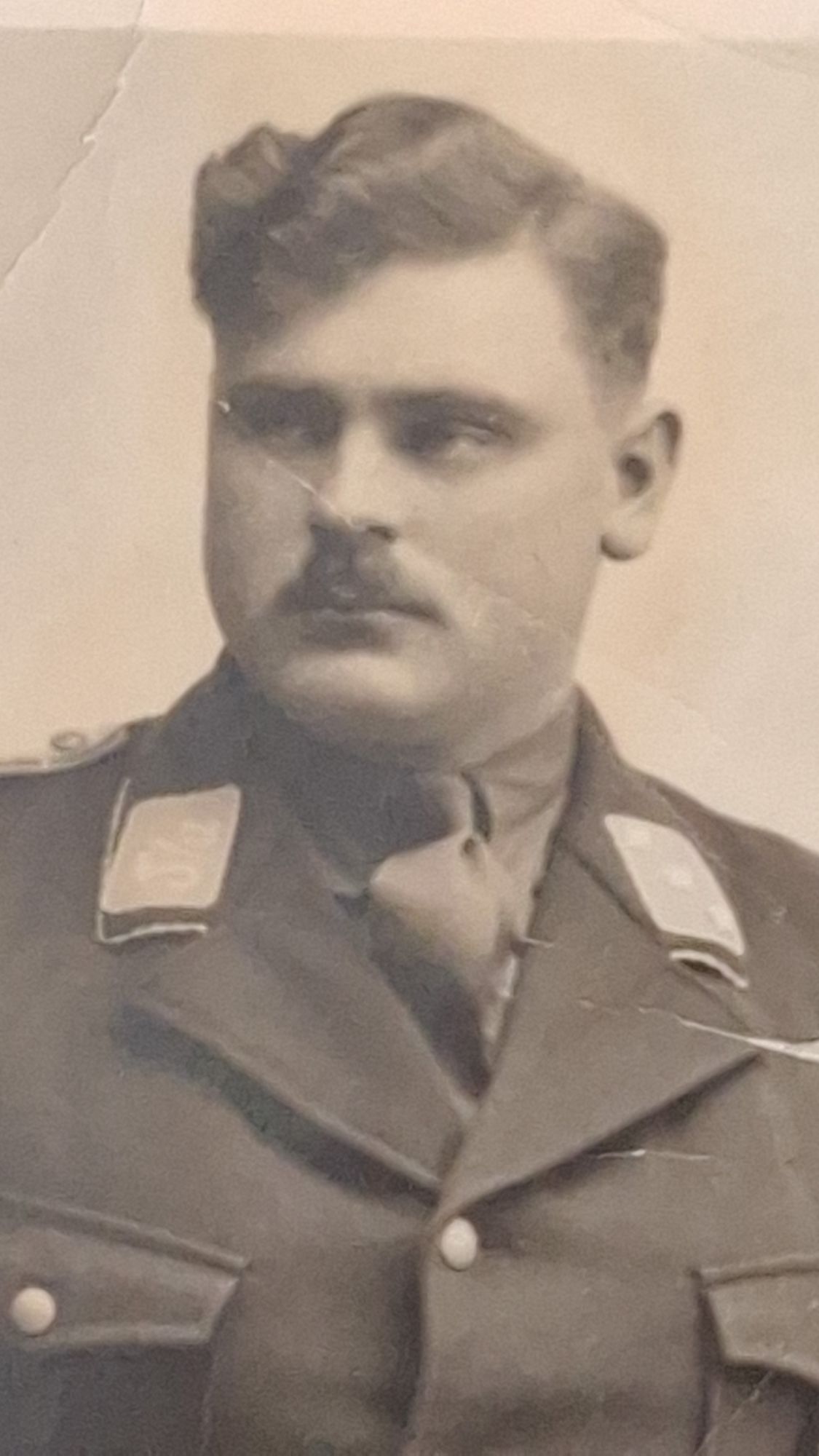 WW2 German Pass Photo of SA Man - Image 2