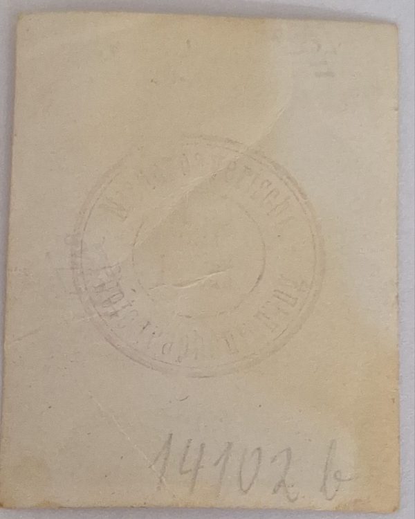 WW2 German Pass Photo of SA Man - Image 6