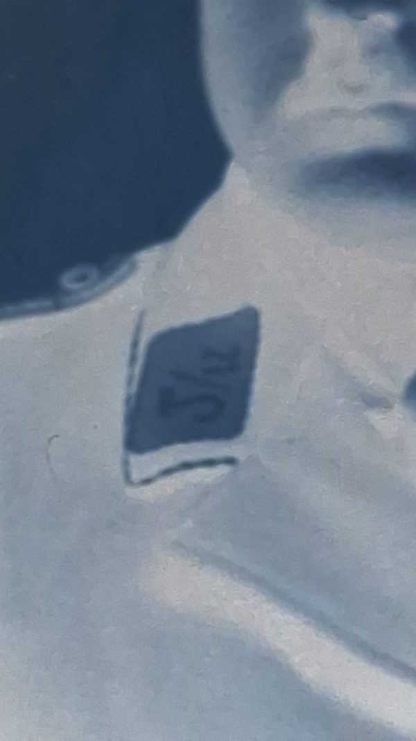 WW2 German Pass Photo of SA Man - Image 7