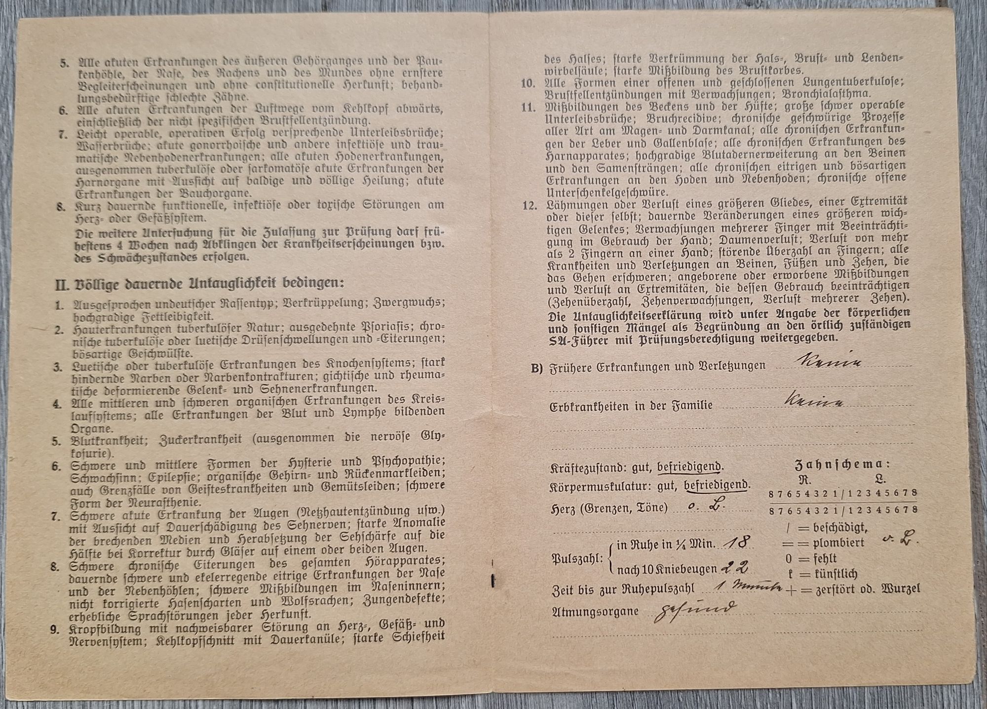 Large Lot of SA Documents and Sportsabzeichen- One Person - Image 28